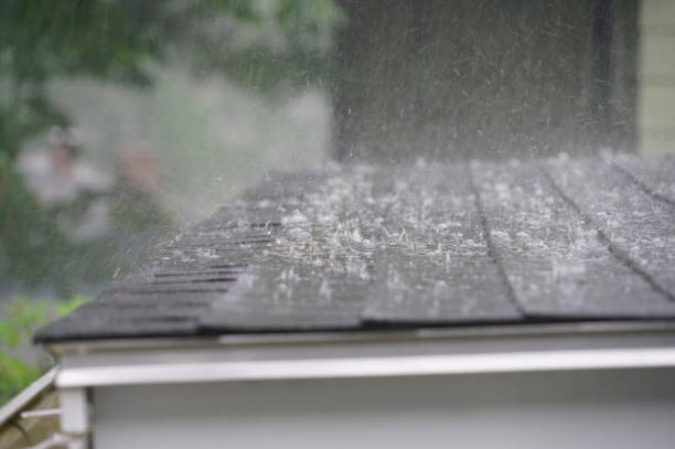 Best Roof Leak Repair  in Queen City, TX