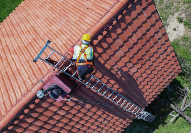 Best Skylight Installation and Repair  in Queen City, TX